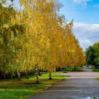 Городская осень :: Петр 