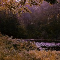 Осеннее озеро. :: Андрей Андрианов