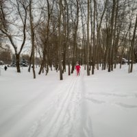 Лыжница. :: Борис Калитенко