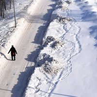 Зарядка на свежем воздухе на левом берегу Москвы реки. :: Татьяна Помогалова