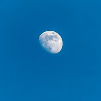 Луна на длинном конце объектива :: Валерий Иванович