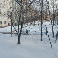Снежный февраль :: Елена Семигина