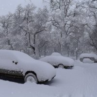 Автотранспорт в снегопад :: Nina Streapan