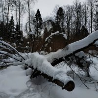 Февраль черно-белый :: Андрей Лукьянов