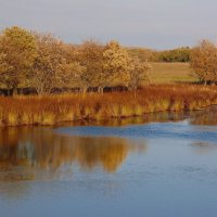 Осенние мотивы. :: nadyasilyuk Вознюк