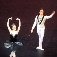 Фрагмент балета "Лебединое озеро" :: Лидия Бусурина