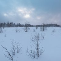 Зима :: Владимир Лазарев