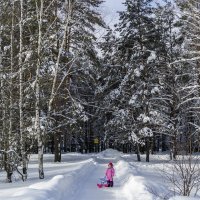 На прогулку в парк :: Сергей Цветков