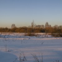 Природа под снегом :: Сергей Цветков
