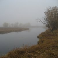 Туман, утро :: Anna Ivanova
