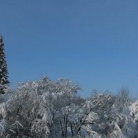 После снегопада :: Людмила Смородинская