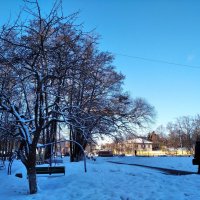 Зимой в городе :: Елена Семигина