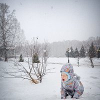 Снежный день :: Борис Руднев