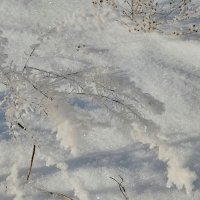 Снег пушистый, серебристый :: Валентина Богатко 