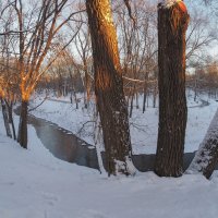 Зимняя Зарисовка :: юрий поляков