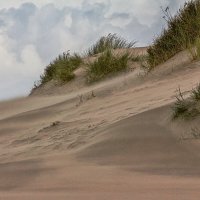 Песчаная буря. :: Lucy Schneider 