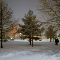Зимний вечер в парке останется лишь в воспоминаниях и фотографиях.. :: Татьяна Помогалова