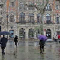 ..весенний дождь в Севилье... :: galalog galalog