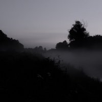 fog :: Гарик Гирляндов 