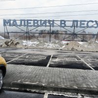 Парк Малевича — парк в Одинцовском городском округе Московской области России близ деревни Раздоры :: Юрий Яньков