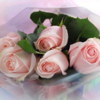 Розовые розы :: Irene Irene