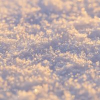 Снег на рассвете 2 :: Александр Синдерёв