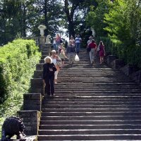 Большая Каменная лестница в Павловском парке. :: Ирина ***