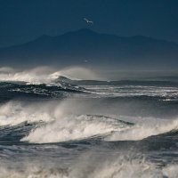Волны на Халактырском пляже :: Антон Уницын