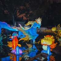 Фестиваль фонарей в парке Юйюань в Шанхае :: Дмитрий 