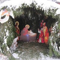 Христос Родился! Славим Его! :: Дмитрий Никитин