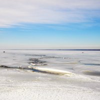 Льды Финского залива. :: Лия ☼
