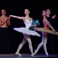Конкурс балета В.Гордеева «ГРАН ПРИ НАДЕЖД» :: Светлана Яковлева