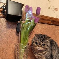Масяня задумалась о пользе цветов! :: Ольга 