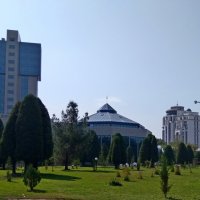 ТАШКЕНТ, парк. :: Виктор Осипчук