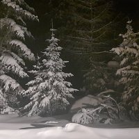 Зимняя ночь :: Селезнёв Алексей 