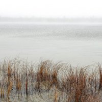 Озеро :: Сергей Никифоров