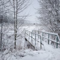 У зимнего леса :: Валерий Вождаев