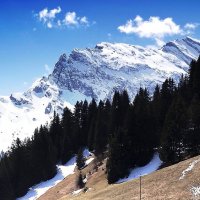 "Весеннее" пробуждение... Lauterbrunnen "Jungfraujoch" Wunderbares /Schweizer/ - :: "The Natural World" Александер