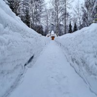 Не свернешь :: Павел Трунцев