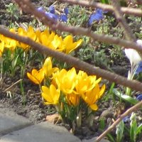 Весна в Белгороде :: Сеня Белгородский