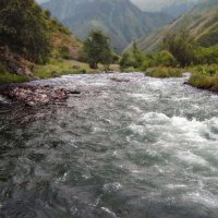 Река Тургень :: LudMila 