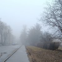 Утренний туман :: Мария Васильева