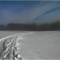 Тропинка в туман. :: Валентин Кузьмин