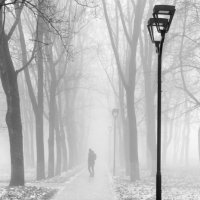 Туман,туман,седая пелена... :: Александр Герасенков