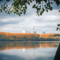 Золотая осень в отражении воды :: Николай Чекалин
