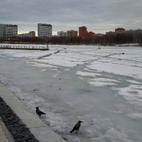 Мартовский городской пейзаж :: Андрей Лукьянов