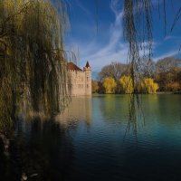 Пейзаж с замком и ивами :: M Marikfoto