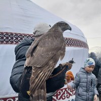 Almaty. :: Murat Bukaev 