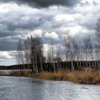 Резкое похолодание на Смоленщине. :: Милешкин Владимир Алексеевич 