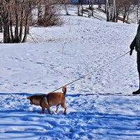 Апрель...На церковном холме ещё полно снега! :: Владимир 